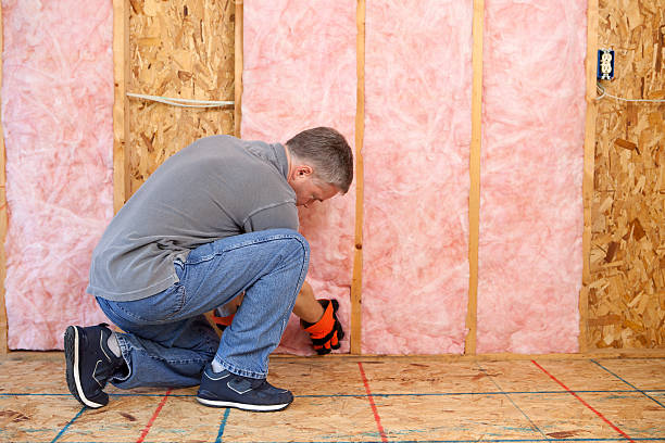 Best Eco-Friendly Insulation in Destrehan, LA